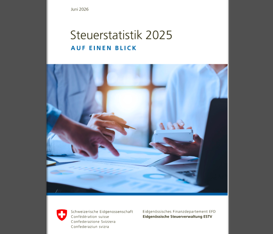 Steuerstatistik 2025 erschienen